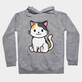 Calico kitty Hoodie